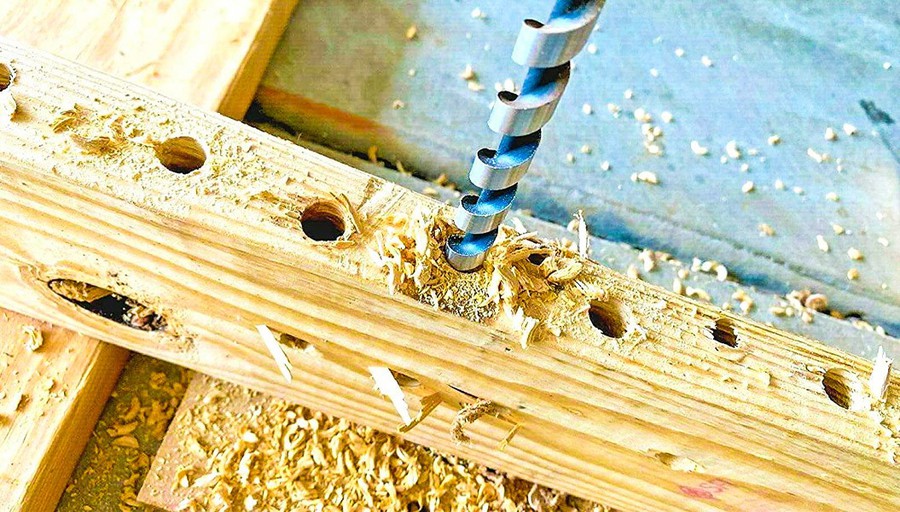 news-1055-600 news-1055-600